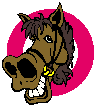 gif cheval rigolo