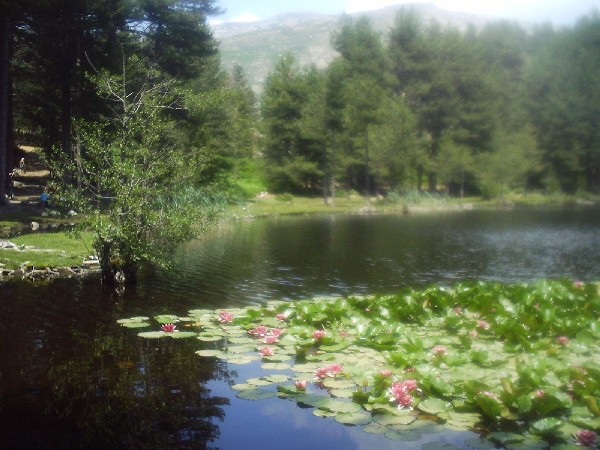 Lac Creno1