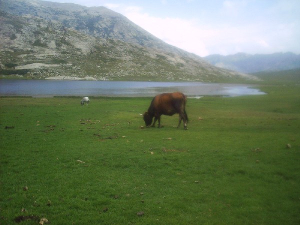 Lac Nino3