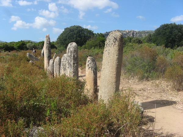 Alignement de Menhir 1