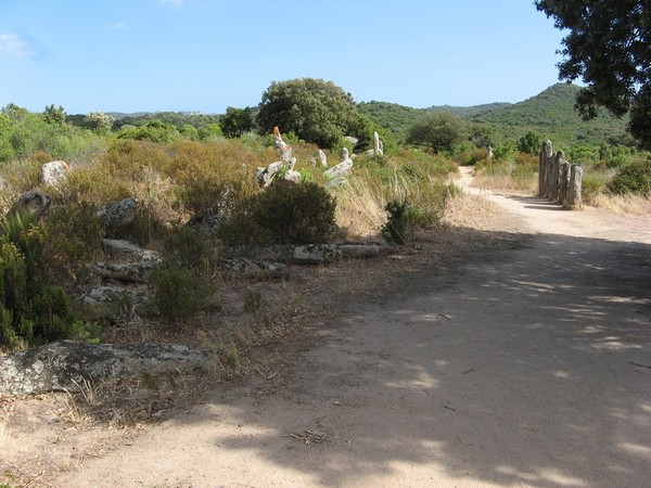 Alignement de Menhir 3