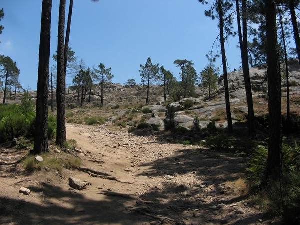 Cascade Piscia-di-Gallu 1