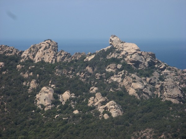 Roccapine 1