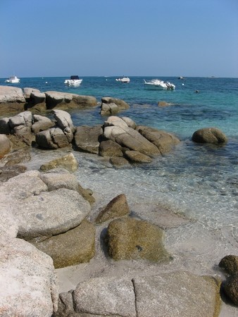 Saint-Cyprien 1