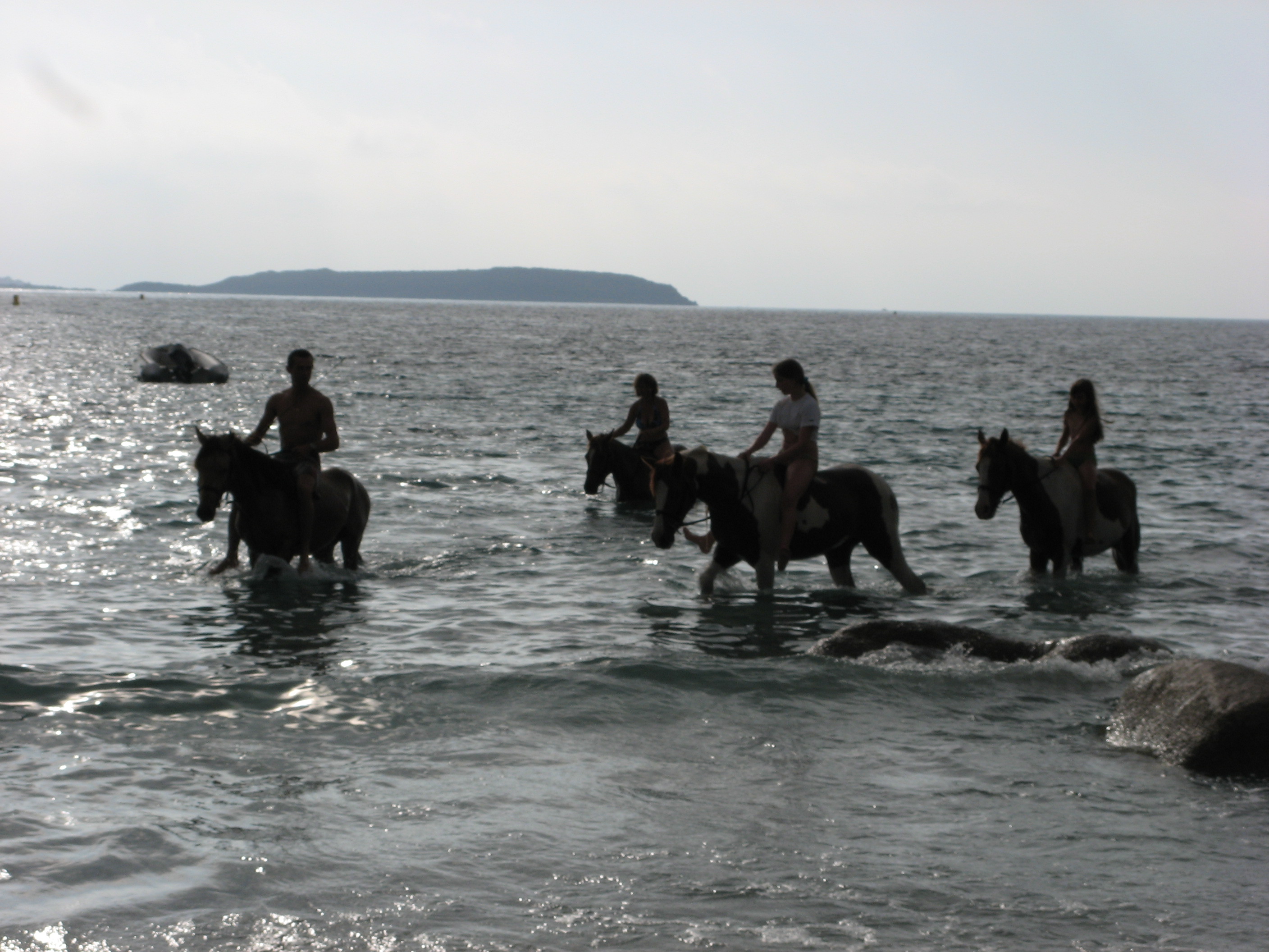 rando cheval en corse