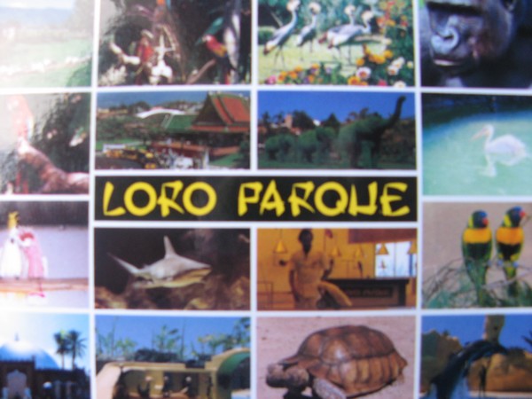 loro parc4