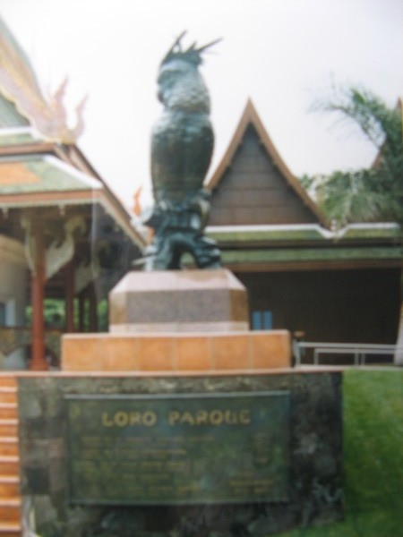 loro parc6