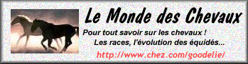 le monde des chevaux