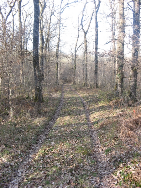 Sentier à Mansac